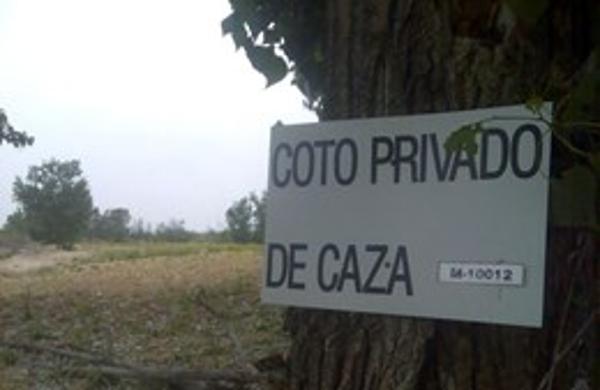 Foto cedida por Ayuntamiento de Paracuellos