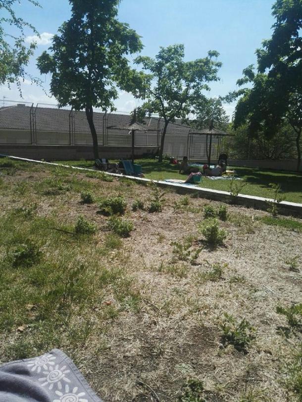 Foto cedida por Cs Paracuellos