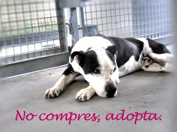 Foto cedida por Ayuntamiento de Paracuellos