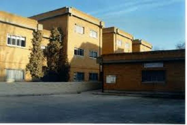 Foto cedida por CEIP La Gaviota