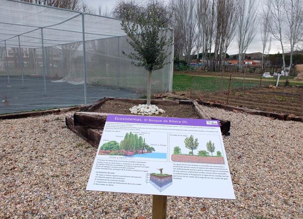 Foto cedida por Ayuntamiento de Paracuellos