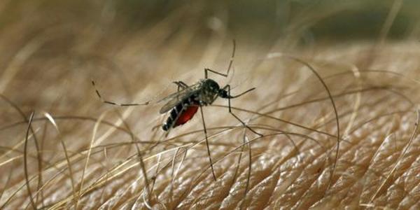 Foto cedida por España 2000 Velilla de San Antonio