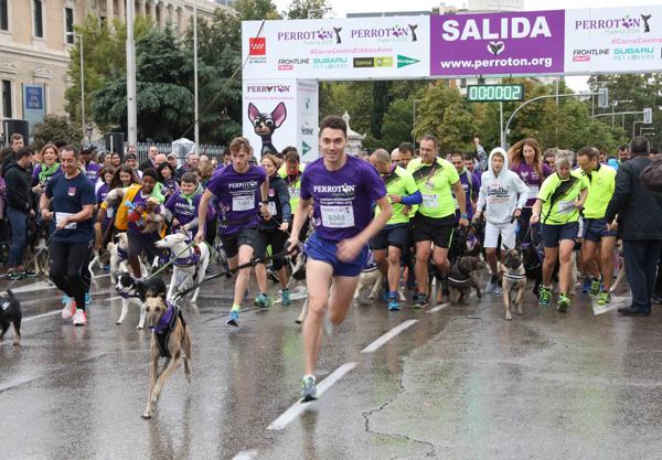 Foto cedida por Ayuntamiento de Madrid
