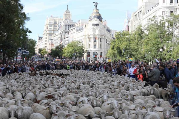 Foto cedida por Ayuntamiento de Madrid