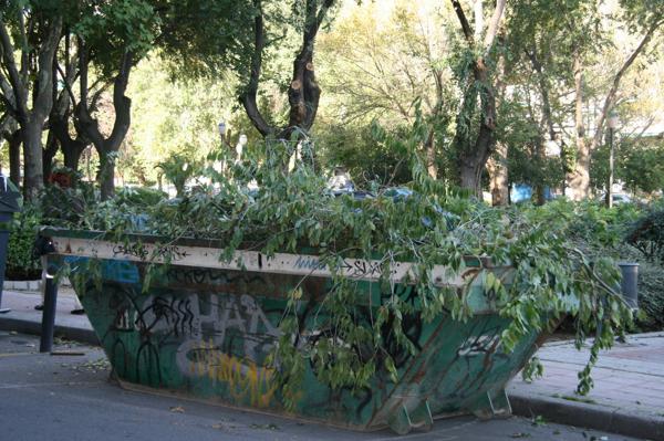 Foto cedida por Ayuntamiento de Coslada