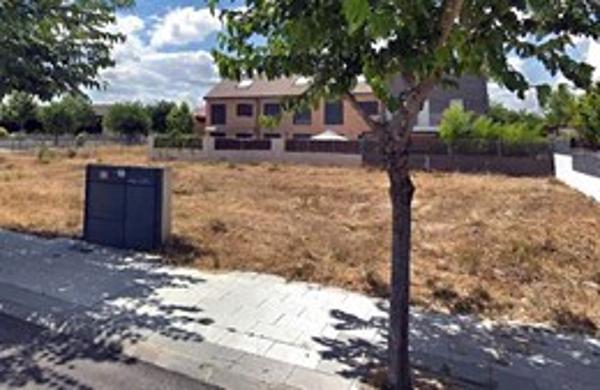 Foto cedida por Ayuntamiento de Paracuellos