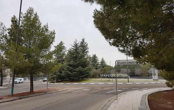 Foto cedida por Ayuntamiento de Coslada