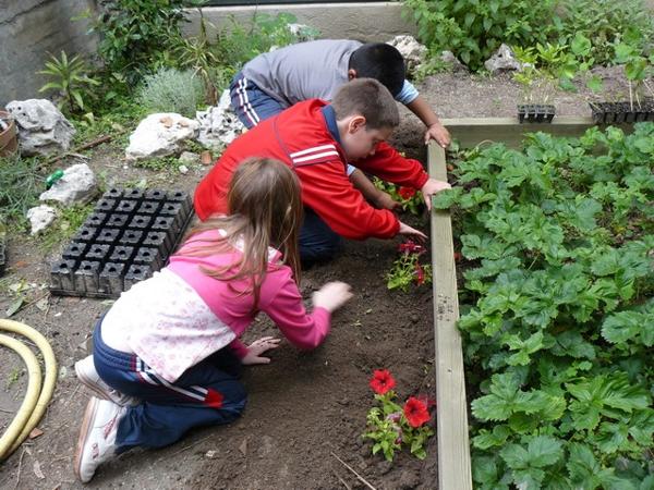 Foto cedida por Ayuntamiento de Madrid