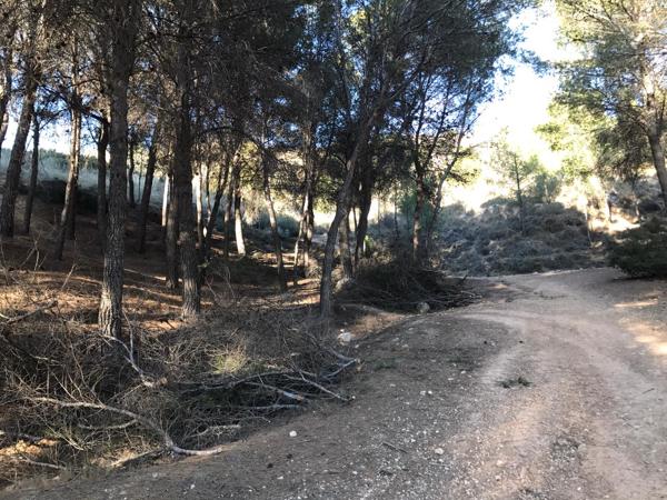 Foto cedida por Ayuntamiento de Morata