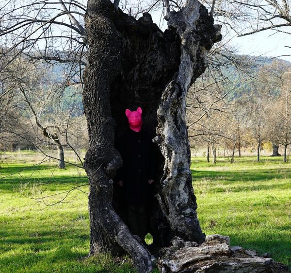 Foto cedida por Ayuntamiento de Madrid