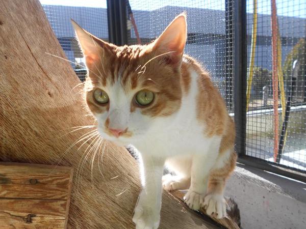 Foto cedida por Ayuntamiento de Madrid