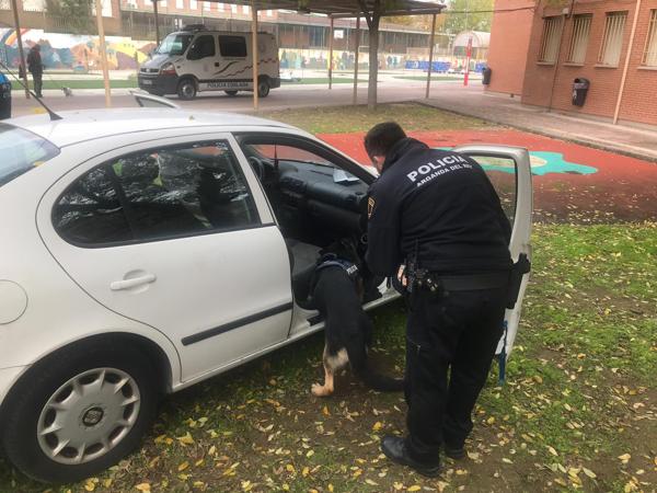 Foto cedida por Ayuntamiento de Coslada