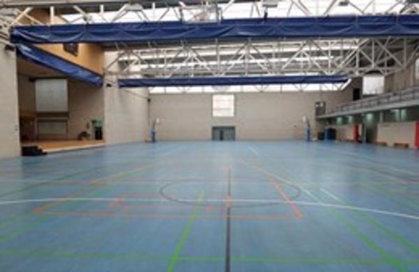 Foto cedida por Ayuntamiento de Paracuellos