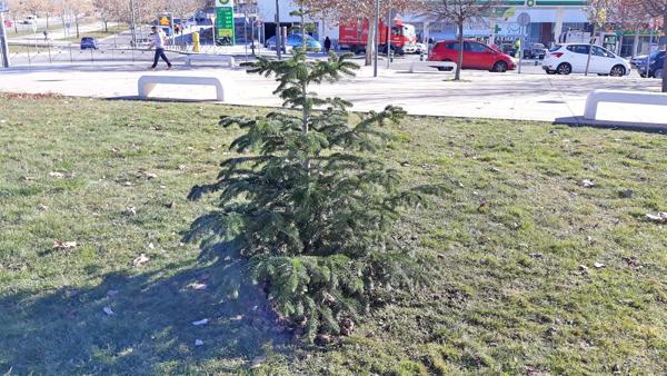 Foto cedida por Ayuntamiento de Paracuellos