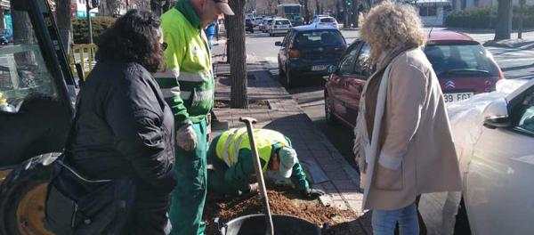 Foto cedida por Ayuntamiento de Aranjuez