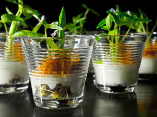 Foto cedida por Ayuntamiento de Madrid