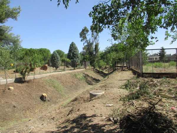 Foto cedida por Ayuntamiento de Alcalá