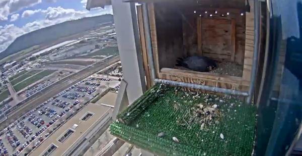 Foto cedida por Ayuntamiento de Alcalá