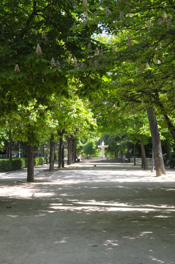 Foto cedida por Ayuntamiento de Madrid