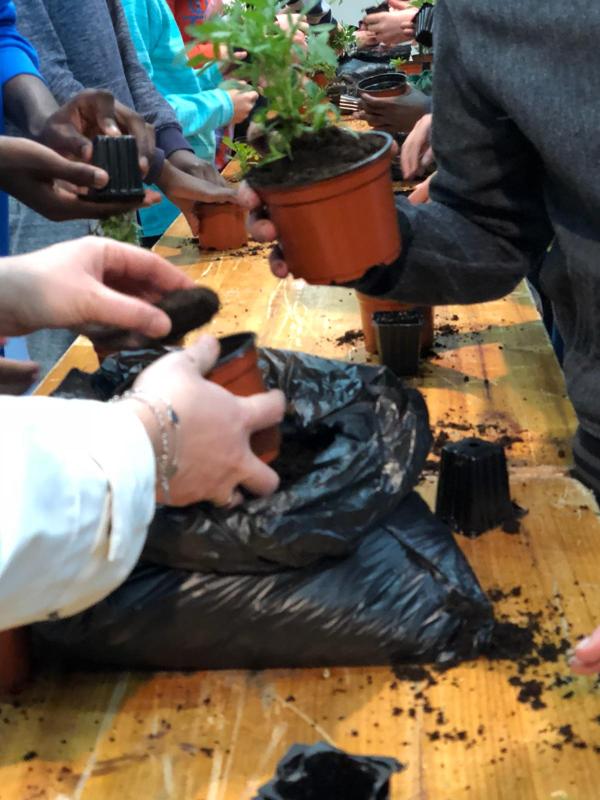 Foto cedida por Ayuntamiento de Alcalá