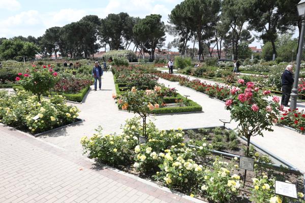 Foto cedida por Ayuntamiento de Madrid