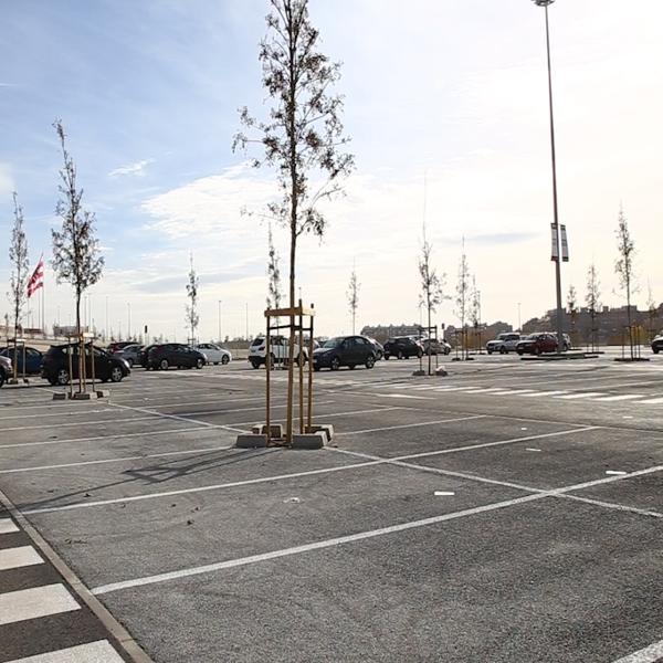 Foto cedida por Ayuntamiento de Madrid