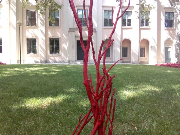 Foto cedida por Ayuntamiento de Madrid