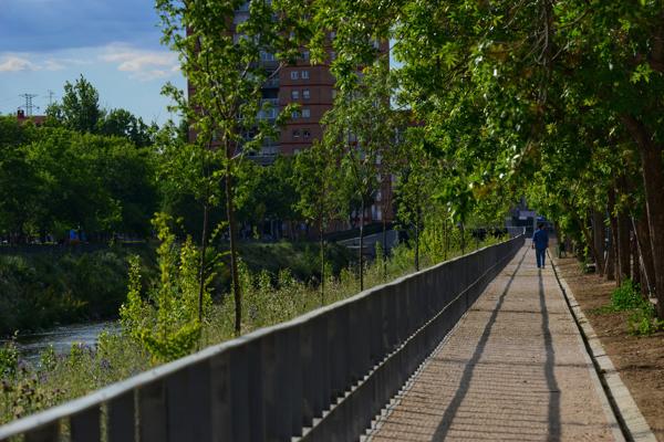 Foto cedida por Ayuntamiento de Madrid
