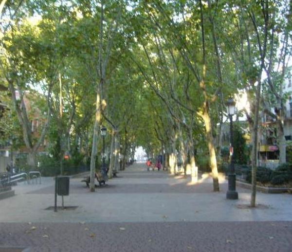 Foto cedida por Ayuntamiento de Madrid