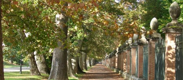 Foto cedida por Ayuntamiento de Aranjuez