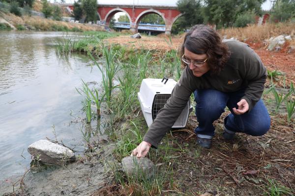 Foto cedida por Ayuntamiento de Madrid