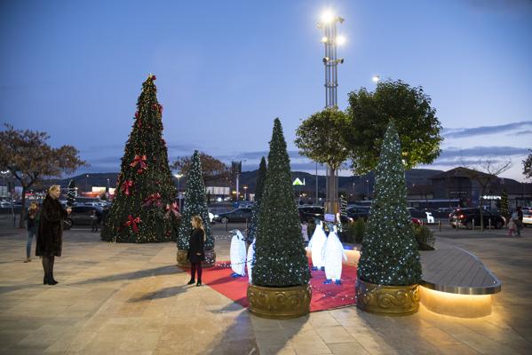 Foto cedida por Quadernillos