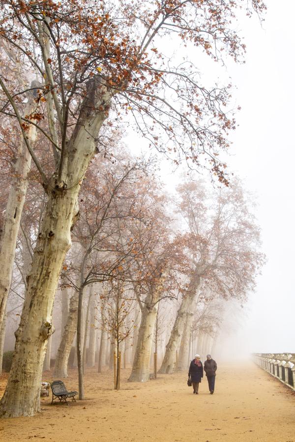 Foto cedida por Ayuntamiento de Aranjuez