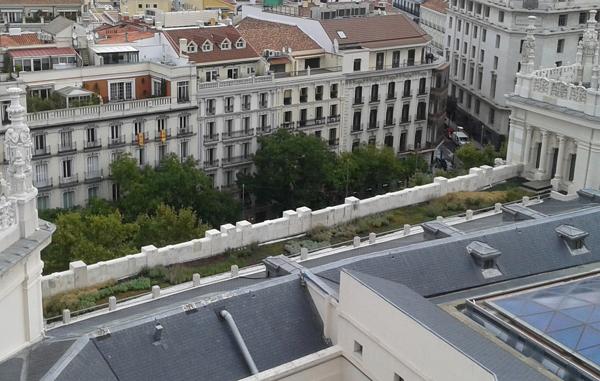 Foto cedida por Ayuntamiento de Madrid