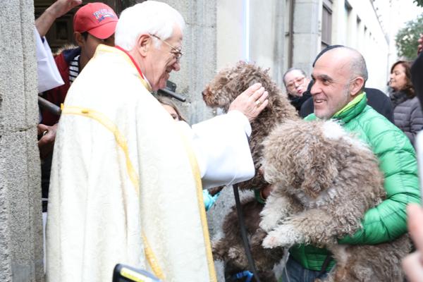 Foto cedida por Ayuntamiento de Madrid